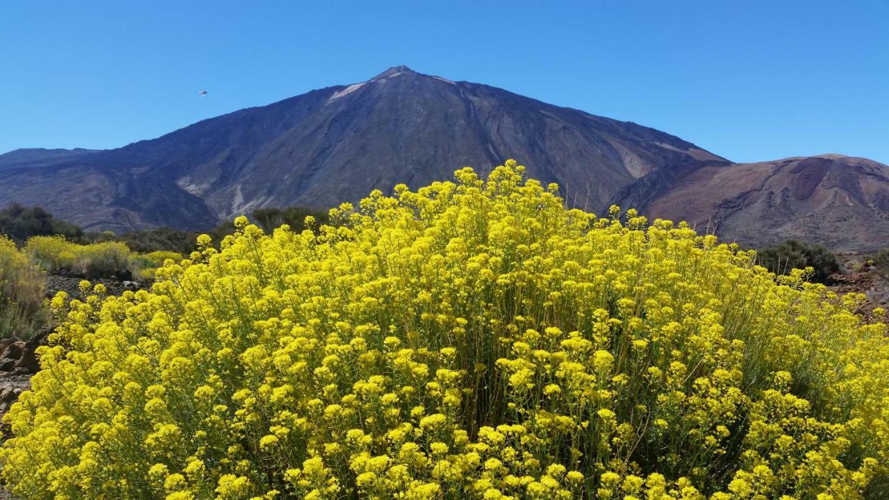 Sissi Boutique - The Terrace Between Ocean And Teide Santa Úrsula 외부 사진
