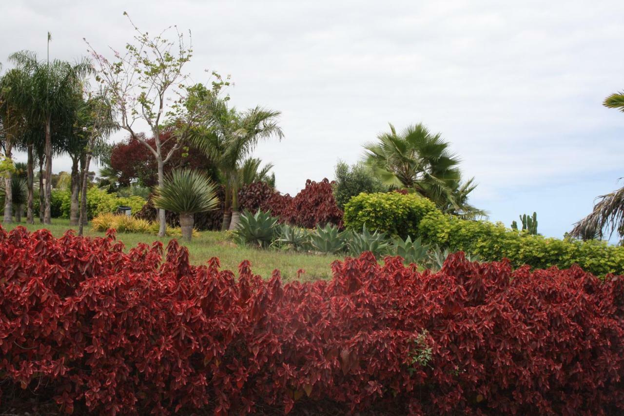 Sissi Boutique - The Terrace Between Ocean And Teide Santa Úrsula 외부 사진